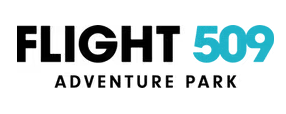 Flight 509 logo